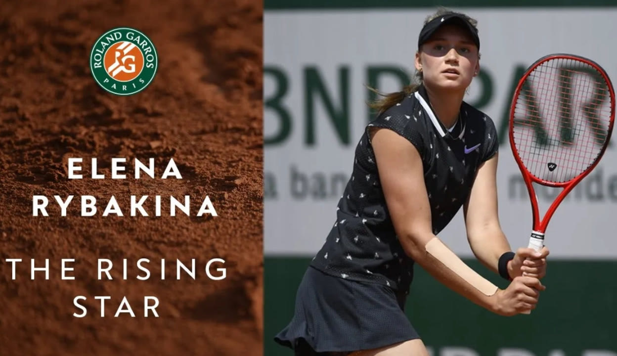 海豚的微笑 海豚的微笑